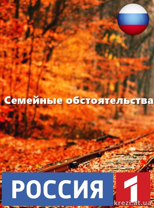 Семейные обстоятельства 1, 2, 3, 4 серия